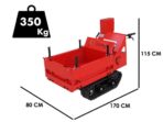 Ceccato Olindo Tritone BIG CINGO – Biohäcksler mit Raupenantrieb und Motorschubkarre – Motor Honda GX390 – Image 2