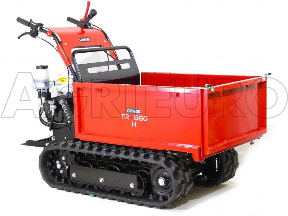 raupendumper-ginko-tr-660-ausziehbare-bordwnde-hydraulisches-kippen-motor-honda-gx-200-raupentransporter-allwegtransporter-ginko-tr-660-10036_0_1486972278_IMG_5143.jpg Raupendumper GINKO TR 660 ausziehbare Bordwände, hydraulisches Kippen, Motor Honda GX 200 – Image 1
